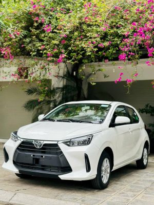 toyota wigo đà nẵng