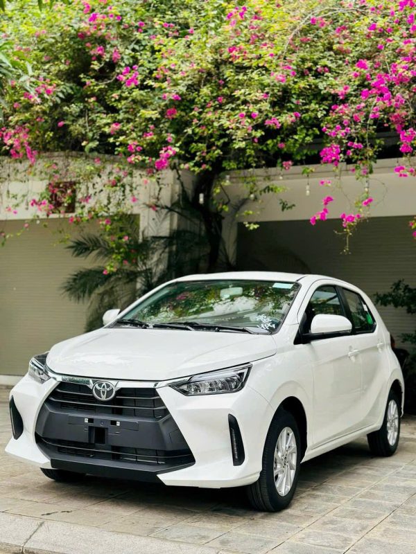 toyota wigo đà nẵng